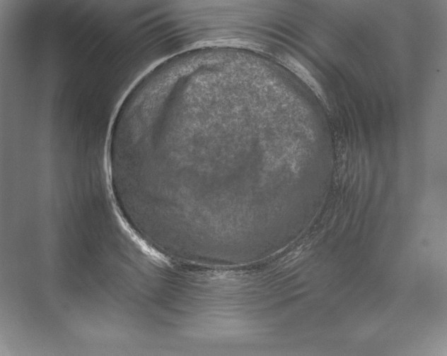 X0000074931084200609221633