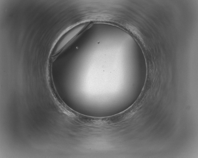 X0000074931085200609221633