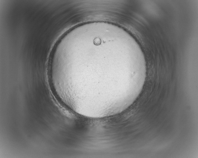 X0000074931086200609221633