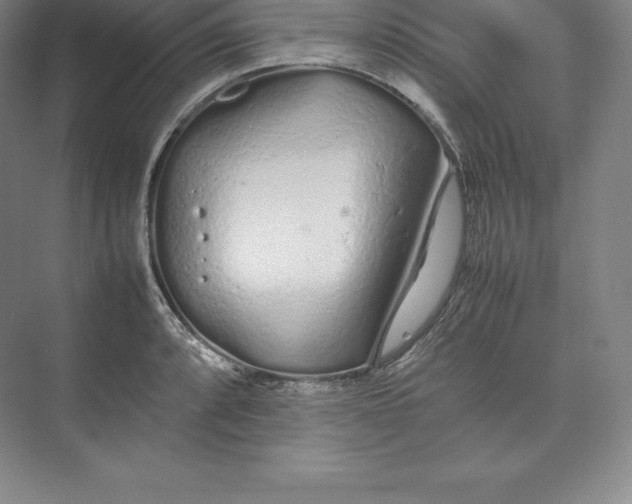 X0000074931088200609221633