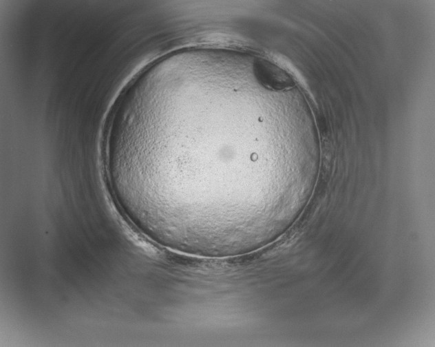 X0000074931091200609221632