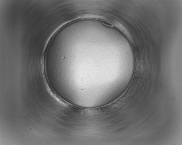 X0000074931092200609221632