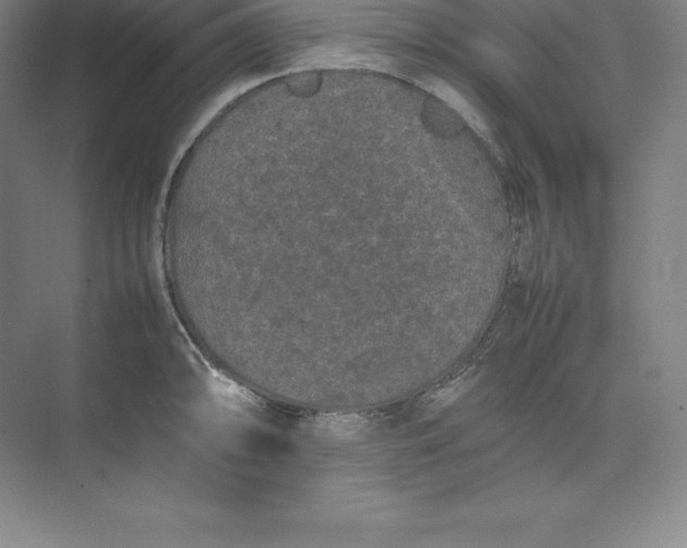 X0000074931094200609221632