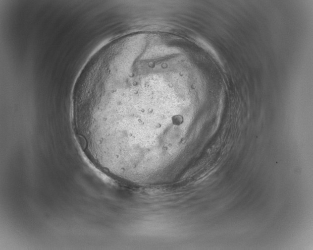 X0000074931095200609221632