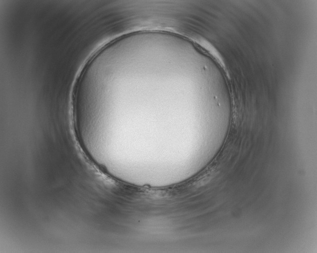 X0000074931096200609221632