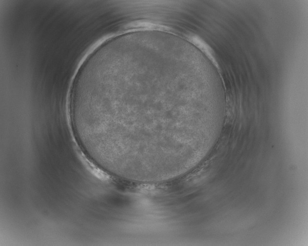 X0000074931098200609221632