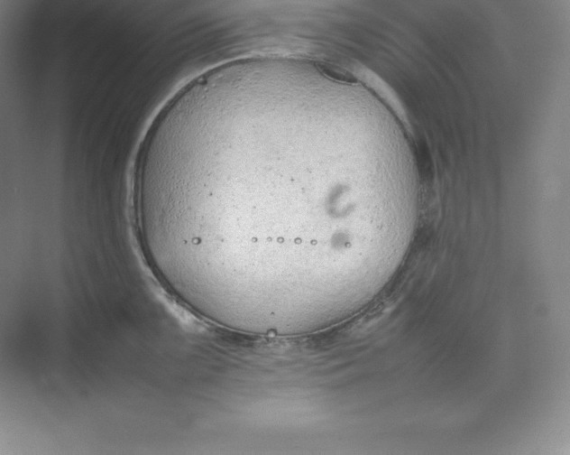 X0000074931099200609221632