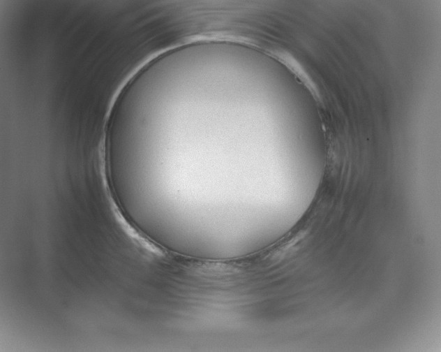 X0000074931100200609221632