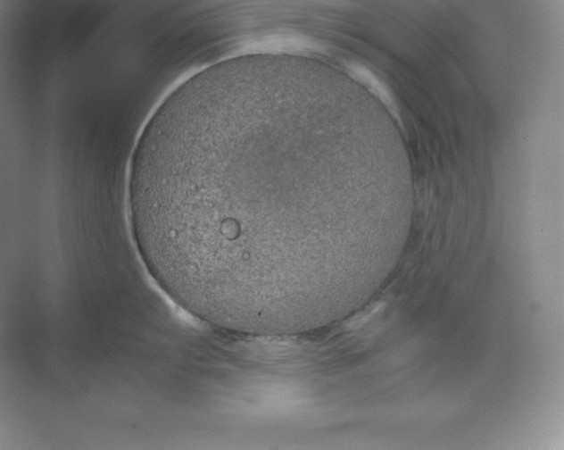 X0000074931103200609221632