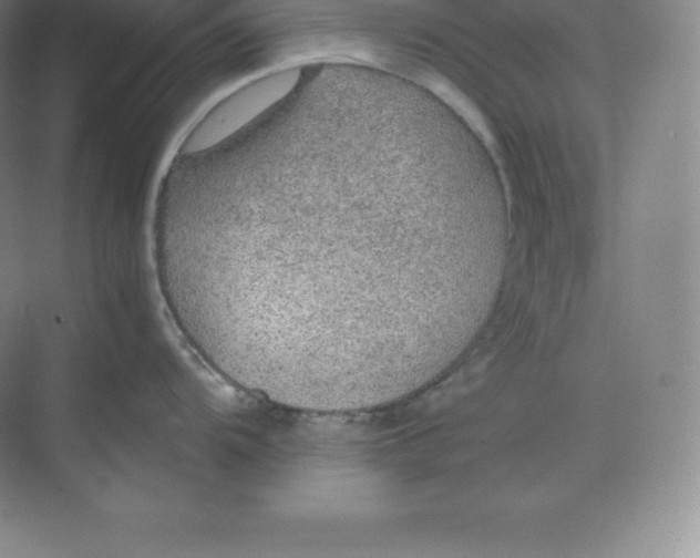 X0000074931104200609221632