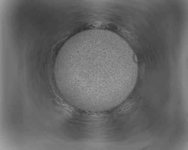 X0000074931105200609221631