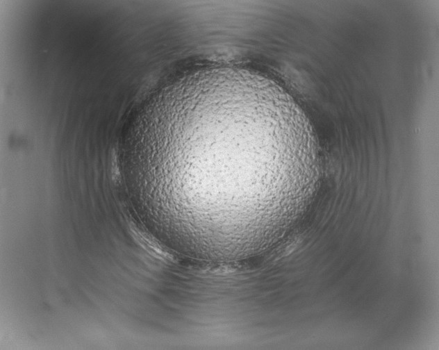 X0000074931106200609221631