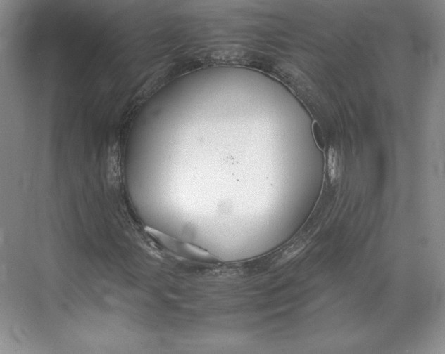 X0000074931107200609221631