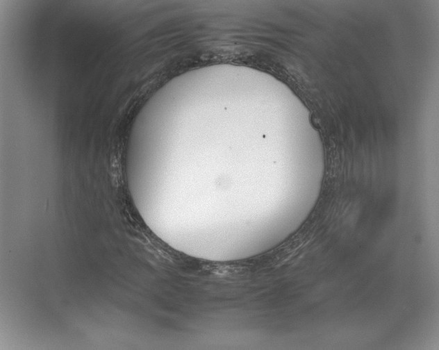 X0000074931109200609221632