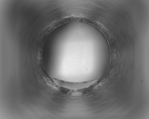 X0000074931110200609221632