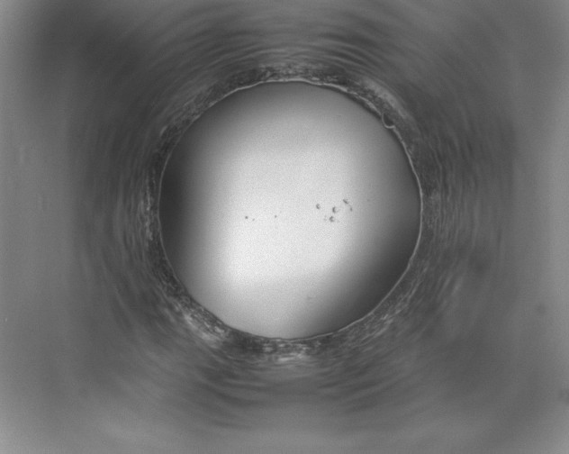 X0000074931111200609221632