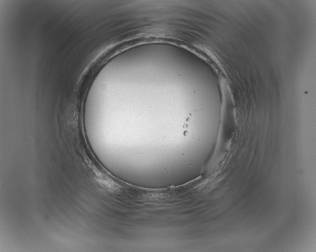 X0000074931115200609221632