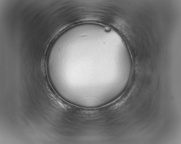 X0000074931121200609221632