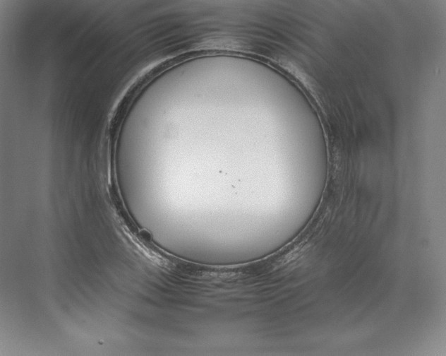 X0000074931123200609221632