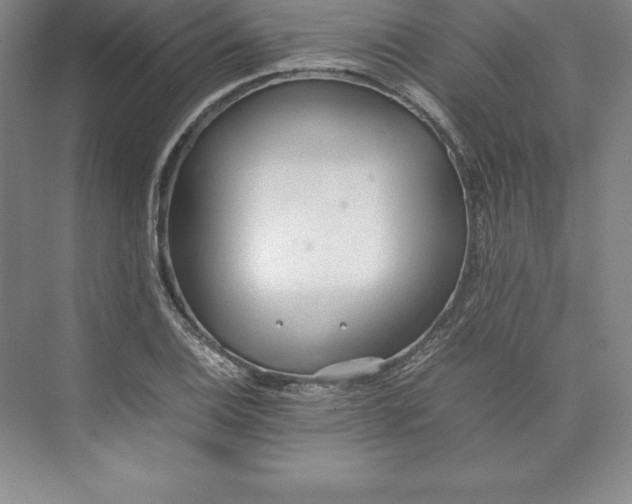 X0000074931124200609221632