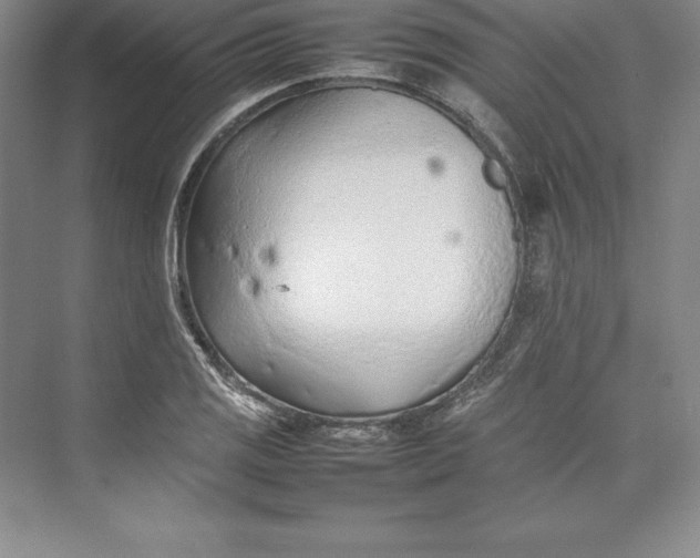 X0000074931125200609221632