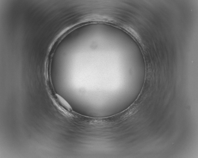 X0000074931128200609221632