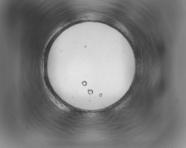 X0000074931130200609221632