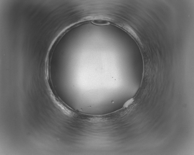 X0000074931132200609221632