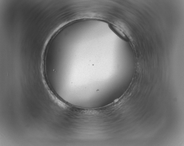 X0000074931136200609221632