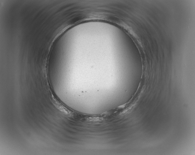 X0000074931137200609221632