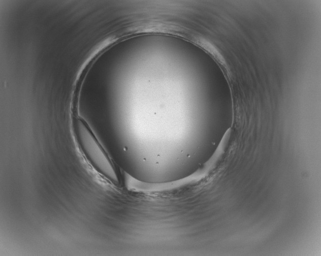 X0000074931138200609221632