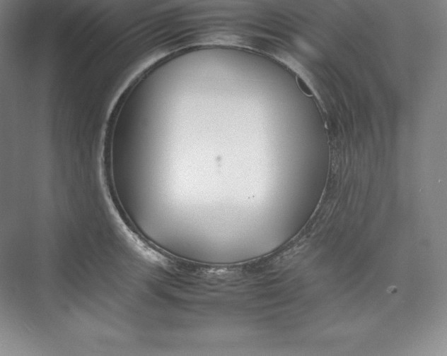 X0000074931139200609221632