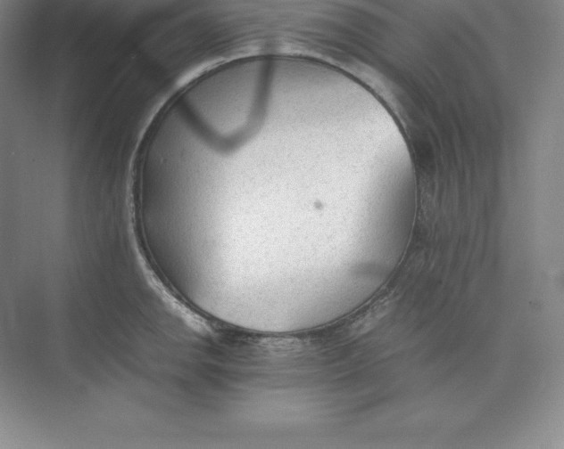 X0000074931142200609221632