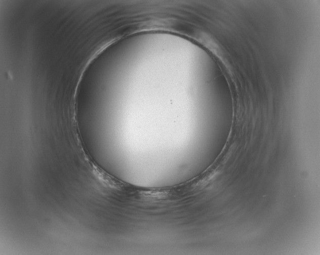 X0000074931145200609221632