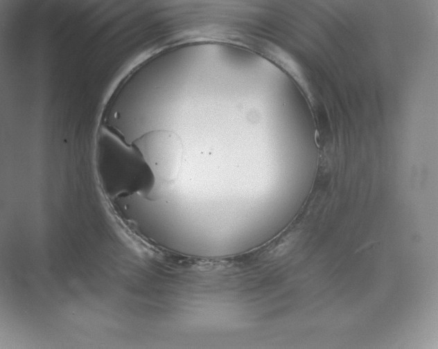 X0000074931146200609221632