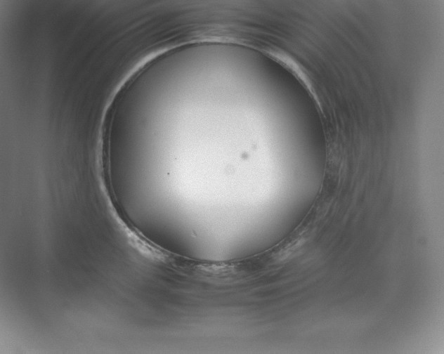 X0000074931147200609221632