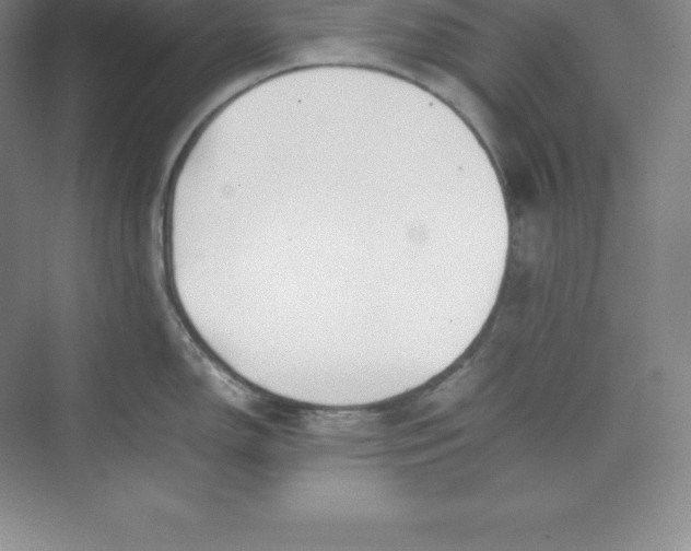 X0000074931150200609221632