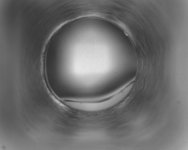 X0000074931151200609221632