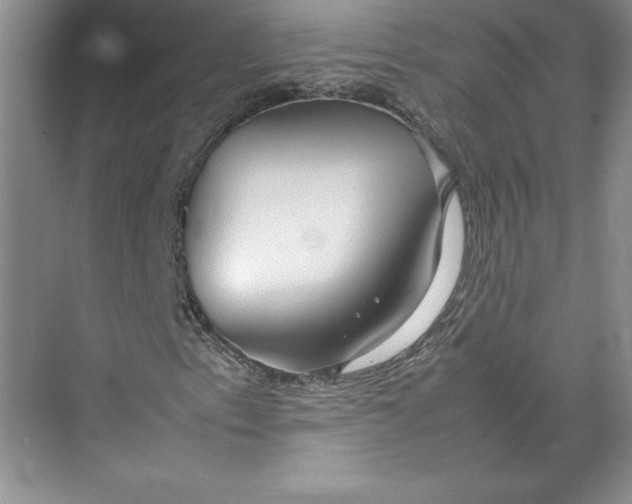 X0000074931153200609221631