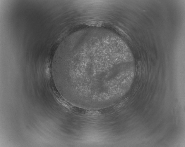 X0000074931154200609221631