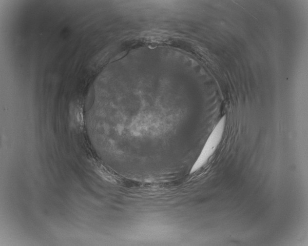 X0000074931155200609221631