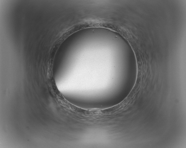 X0000074931157200609221631