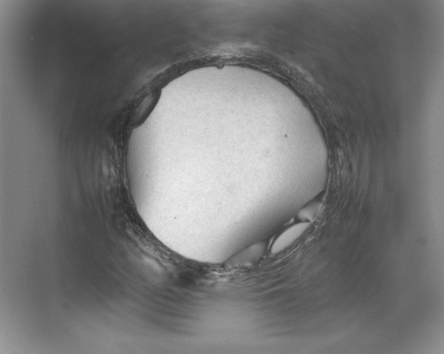 X0000074931158200609221631