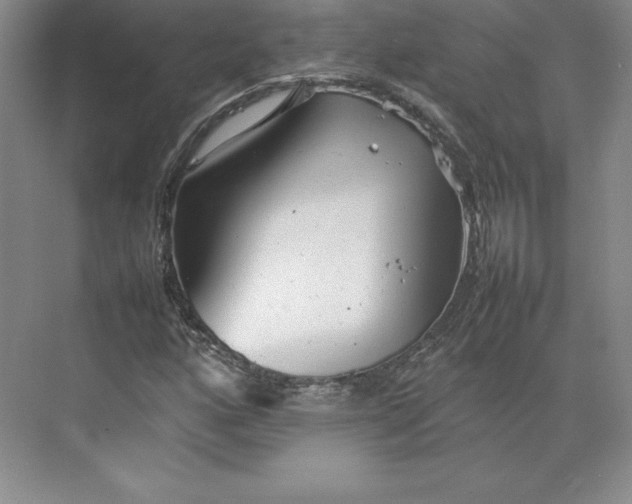 X0000074931160200609221631