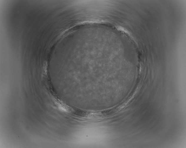 X0000074931161200609221631