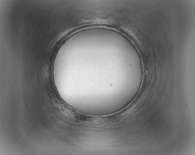 X0000074931163200609221631