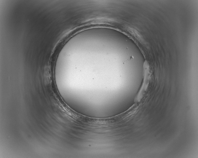 X0000074931164200609221631