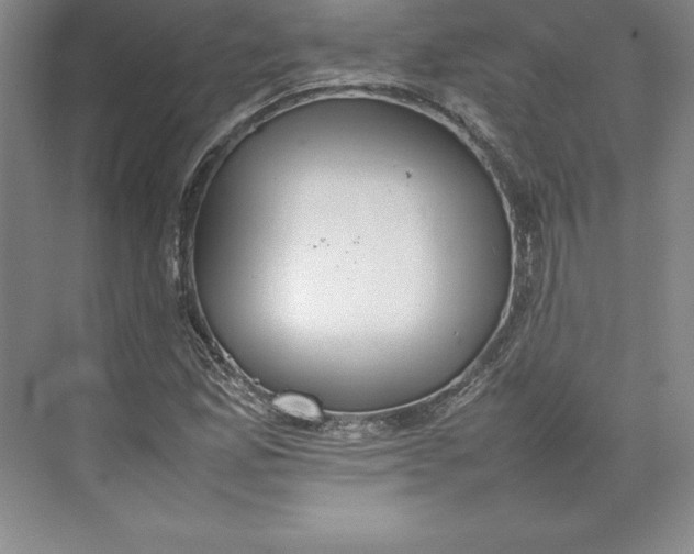 X0000074931165200609221631