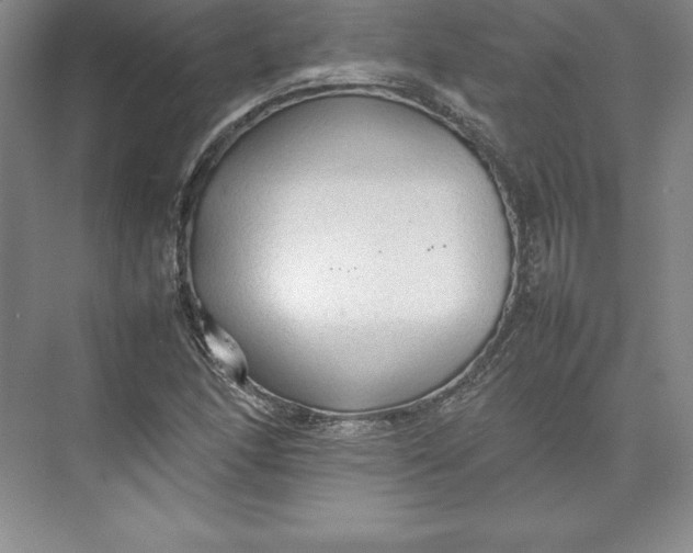 X0000074931166200609221631