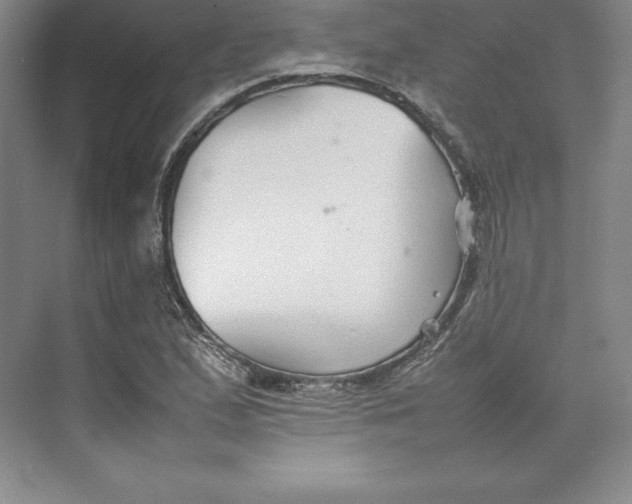 X0000074931167200609221631